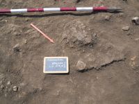 Chronicle of the Archaeological Excavations in Romania, 2010 Campaign. Report no. 52, Radovanu, Gorgana a II-a (Fraţii Dincă, La Grădişte)<br /><a href='http://foto.cimec.ro/cronica/2010/052/104760-03-07-Radovanu-CL-Gorgana-I-L2.jpg' target=_blank>Display the same picture in a new window</a>