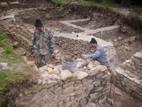 Cronica Cercetărilor Arheologice din România, Campania 2010. Raportul nr. 58