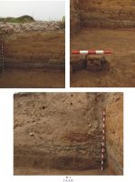 Chronicle of the Archaeological Excavations in Romania, 2010 Campaign. Report no. 63, Slava Rusă, Cetatea Fetei (Ibida, Kizil Hisar).<br /> Sector Ibida-planse-jpeg.<br /><a href='http://foto.cimec.ro/cronica/2010/063/161277-01-Slava-Rusa-TL-2.jpg' target=_blank>Display the same picture in a new window</a>