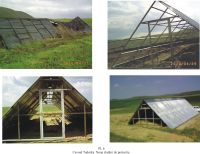 Chronicle of the Archaeological Excavations in Romania, 2010 Campaign. Report no. 63, Slava Rusă, La Donca<br /><a href='http://foto.cimec.ro/cronica/2010/063/161277-01-Slava-Rusa-TL-6.jpg' target=_blank>Display the same picture in a new window</a>