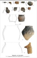Cronica Cercetărilor Arheologice din România, Campania 2010. Raportul nr. 126