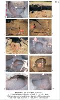 Cronica Cercetărilor Arheologice din România, Campania 2010. Raportul nr. 126