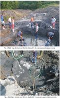 Chronicle of the Archaeological Excavations in Romania, 2010 Campaign. Report no. 144, Beclean, Băile Figa<br /><a href='http://foto.cimec.ro/cronica/2010/144/32492-02-Baile-Figa-Beclean-Bistrita-Nasaud-5-6.jpg' target=_blank>Display the same picture in a new window</a>