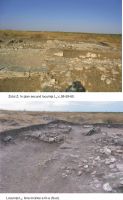 Chronicle of the Archaeological Excavations in Romania, 2011 Campaign. Report no. 2, Albeşti, La Cetate<br /><a href='http://foto.cimec.ro/cronica/2011/002/pl-3-albesti-2011.jpg' target=_blank>Display the same picture in a new window</a>