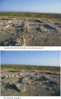 Chronicle of the Archaeological Excavations in Romania, 2011 Campaign. Report no. 2, Albeşti, La Cetate<br /><a href='http://foto.cimec.ro/cronica/2011/002/pl-4-albesti-2011.jpg' target=_blank>Display the same picture in a new window</a>