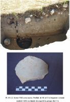 Cronica Cercetărilor Arheologice din România, Campania 2011. Raportul nr. 7, Capidava, Cetate.<br /> Sectorul 021-5217.<br /><a href='http://foto.cimec.ro/cronica/2011/007/pl15.jpg' target=_blank>Priveşte aceeaşi imagine într-o fereastră nouă</a>