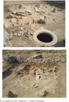 Cronica Cercetărilor Arheologice din România, Campania 2011. Raportul nr. 7, Capidava, Cetate.<br /> Sectorul 021-5217.<br /><a href='http://foto.cimec.ro/cronica/2011/007/pl8.jpg' target=_blank>Priveşte aceeaşi imagine într-o fereastră nouă</a>