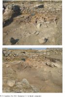 Chronicle of the Archaeological Excavations in Romania, 2011 Campaign. Report no. 7, Capidava, Sectorul VIII extra muros.<br /> Sector 021-5129.<br /><a href='http://foto.cimec.ro/cronica/2011/007/pl9.jpg' target=_blank>Display the same picture in a new window</a>