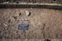 Chronicle of the Archaeological Excavations in Romania, 2011 Campaign. Report no. 8, Călugăreni, Ţinutul Cetăţii (Cetatea Veche)<br /><a href='http://foto.cimec.ro/cronica/2011/008/S2-locuinta.JPG' target=_blank>Display the same picture in a new window</a>