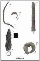 Chronicle of the Archaeological Excavations in Romania, 2011 Campaign. Report no. 17, Corabia, Sucidava<br /><a href='http://foto.cimec.ro/cronica/2011/017/suc-2011-e.jpg' target=_blank>Display the same picture in a new window</a>