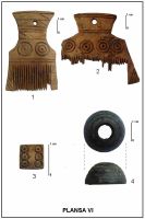 Chronicle of the Archaeological Excavations in Romania, 2011 Campaign. Report no. 17, Corabia<br /><a href='http://foto.cimec.ro/cronica/2011/017/suc-2011-f.jpg' target=_blank>Display the same picture in a new window</a>