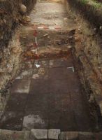 Chronicle of the Archaeological Excavations in Romania, 2011 Campaign. Report no. 19, Drajna de Sus, La Grădişte<br /><a href='http://foto.cimec.ro/cronica/2011/019/Drajna-de-Sus-2011-4.jpg' target=_blank>Display the same picture in a new window</a>