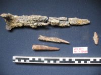 Chronicle of the Archaeological Excavations in Romania, 2011 Campaign. Report no. 30, Hârşova, La Cetate<br /><a href='http://foto.cimec.ro/cronica/2011/030/12-Obiecte-din-fier-de-pe-nivelul-pavajului.jpg' target=_blank>Display the same picture in a new window</a>