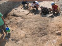 Chronicle of the Archaeological Excavations in Romania, 2011 Campaign. Report no. 30, Hârşova, La Cetate<br /><a href='http://foto.cimec.ro/cronica/2011/030/4-Demontarea-nivelului-de-arsura.jpg' target=_blank>Display the same picture in a new window</a>