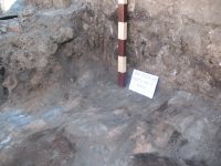 Chronicle of the Archaeological Excavations in Romania, 2011 Campaign. Report no. 30, Hârşova, La Cetate<br /><a href='http://foto.cimec.ro/cronica/2011/030/5-Nivelul-de-arsura-de-pe-pavaj.jpg' target=_blank>Display the same picture in a new window</a>