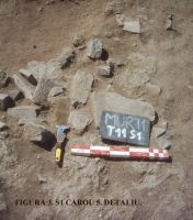 Cronica Cercetărilor Arheologice din România, Campania 2011. Raportul nr. 45.<br /> Sectorul SECTOR-TURNUL-11.