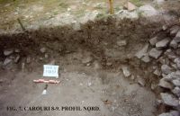 Cronica Cercetărilor Arheologice din România, Campania 2011. Raportul nr. 45.<br /> Sectorul SECTOR-TURNUL-11.