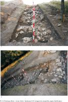 Chronicle of the Archaeological Excavations in Romania, 2011 Campaign. Report no. 58, Pietroasa Mică, Gruiu Dării<br /><a href='http://foto.cimec.ro/cronica/2011/058/gruiu-darii-2011-plansa02.jpg' target=_blank>Display the same picture in a new window</a>