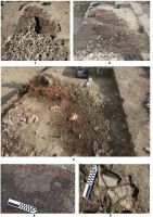 Cronica Cercetărilor Arheologice din România, Campania 2011. Raportul nr. 77