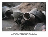 Chronicle of the Archaeological Excavations in Romania, 2011 Campaign. Report no. 87, Unip, Dealu Cetăţuica.<br /> Sector IMDA.<br /><a href='http://foto.cimec.ro/cronica/2011/087/IMDA/unip-imda-fig-3.jpg' target=_blank>Display the same picture in a new window</a>