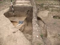Chronicle of the Archaeological Excavations in Romania, 2011 Campaign. Report no. 92, Vlădeni, Coasta Belciugului<br /><a href='http://foto.cimec.ro/cronica/2011/092/fig-11.jpg' target=_blank>Display the same picture in a new window</a>