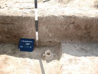 Cronica Cercetărilor Arheologice din România, Campania 2011. Raportul nr. 92