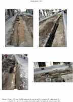 Chronicle of the Archaeological Excavations in Romania, 2011 Campaign. Report no. 99, Bucureşti<br /><a href='http://foto.cimec.ro/cronica/2011/099/plansa-2-cca-selari.jpg' target=_blank>Display the same picture in a new window</a>