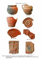 Cronica Cercetărilor Arheologice din România, Campania 2011. Raportul nr. 101