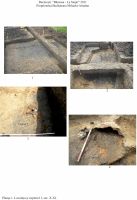Chronicle of the Archaeological Excavations in Romania, 2011 Campaign. Report no. 103, Bucureşti, Băneasa - La stejar<br /><a href='http://foto.cimec.ro/cronica/2011/103/plansa-1.jpg' target=_blank>Display the same picture in a new window</a>