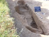 Cronica Cercetărilor Arheologice din România, Campania 2011. Raportul nr. 114