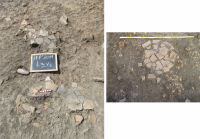 Chronicle of the Archaeological Excavations in Romania, 2011 Campaign. Report no. 123, Iepureşti<br /><a href='http://foto.cimec.ro/cronica/2011/123/fig-4.jpg' target=_blank>Display the same picture in a new window</a>