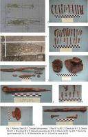 Chronicle of the Archaeological Excavations in Romania, 2011 Campaign. Report no. 137, Râmnicu Sărat, Movila Ţigăncii<br /><a href='http://foto.cimec.ro/cronica/2011/137/r-s-compl-branc-4.jpg' target=_blank>Display the same picture in a new window</a>