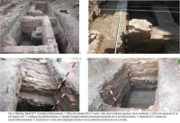 Cronica Cercetărilor Arheologice din România, Campania 2011. Raportul nr. 137