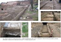 Cronica Cercetărilor Arheologice din România, Campania 2011. Raportul nr. 137