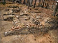 Cronica Cercetărilor Arheologice din România, Campania 2011. Raportul nr. 141