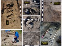 Chronicle of the Archaeological Excavations in Romania, 2011 Campaign. Report no. 152, Tăcuta, Dealul Miclea (Paic)<br /><a href='http://foto.cimec.ro/cronica/2011/152/fig-6-tacuta-011-complexe-funerare-jpg.jpg' target=_blank>Display the same picture in a new window</a>
