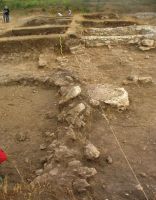 Cronica Cercetărilor Arheologice din România, Campania 2012. Raportul nr. 2, Albeşti, La Cetate<br /><a href='http://foto.cimec.ro/cronica/2012/002-ALBESTI-CT-Cetate/2.jpg' target=_blank>Priveşte aceeaşi imagine într-o fereastră nouă</a>