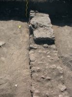 Chronicle of the Archaeological Excavations in Romania, 2012 Campaign. Report no. 2, Albeşti, La Cetate<br /><a href='http://foto.cimec.ro/cronica/2012/002-ALBESTI-CT-Cetate/5.jpg' target=_blank>Display the same picture in a new window</a>