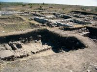 Chronicle of the Archaeological Excavations in Romania, 2012 Campaign. Report no. 2, Albeşti, La Cetate<br /><a href='http://foto.cimec.ro/cronica/2012/002-ALBESTI-CT-Cetate/8.jpg' target=_blank>Display the same picture in a new window</a>