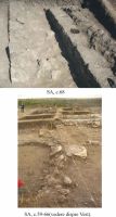 Chronicle of the Archaeological Excavations in Romania, 2012 Campaign. Report no. 2, Albeşti, La Cetate<br /><a href='http://foto.cimec.ro/cronica/2012/002-ALBESTI-CT-Cetate/pl-1-albesti-2012.jpg' target=_blank>Display the same picture in a new window</a>