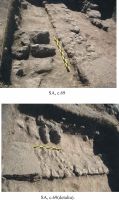 Chronicle of the Archaeological Excavations in Romania, 2012 Campaign. Report no. 2, Albeşti, La Cetate<br /><a href='http://foto.cimec.ro/cronica/2012/002-ALBESTI-CT-Cetate/pl-2-albesti-2012.jpg' target=_blank>Display the same picture in a new window</a>