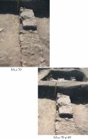 Chronicle of the Archaeological Excavations in Romania, 2012 Campaign. Report no. 2, Albeşti, La Cetate<br /><a href='http://foto.cimec.ro/cronica/2012/002-ALBESTI-CT-Cetate/pl-3-albesti-2012.jpg' target=_blank>Display the same picture in a new window</a>