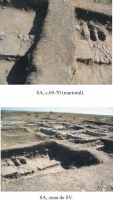 Chronicle of the Archaeological Excavations in Romania, 2012 Campaign. Report no. 2, Albeşti, La Cetate<br /><a href='http://foto.cimec.ro/cronica/2012/002-ALBESTI-CT-Cetate/pl-4-albesti-2012.jpg' target=_blank>Display the same picture in a new window</a>