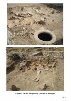 Cronica Cercetărilor Arheologice din România, Campania 2012. Raportul nr. 8, Capidava, Sectorul X extramuros - terasa B.<br /> Sectorul 021-5218.<br /><a href='http://foto.cimec.ro/cronica/2012/008-CAPIDAVA-CT/8.jpg' target=_blank>Priveşte aceeaşi imagine într-o fereastră nouă</a>
