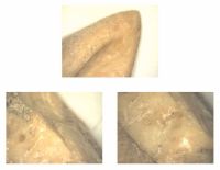 Cronica Cercetărilor Arheologice din România, Campania 2012. Raportul nr. 28, Isaccea, La Pontonul Vechi (Cetate, Eski-kale).<br /> Sectorul planse-IMDA.<br /><a href='http://foto.cimec.ro/cronica/2012/028-ISACCEA-TL-Noviodunum/planse-IMDA/fig-2.JPG' target=_blank>Priveşte aceeaşi imagine într-o fereastră nouă</a>. Titlu: planse-IMDA