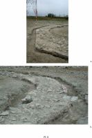 Cronica Cercetărilor Arheologice din România, Campania 2012. Raportul nr. 28
