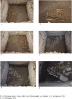 Chronicle of the Archaeological Excavations in Romania, 2012 Campaign. Report no. 51, Pietroasa Mică, Gruiu Dării<br /><a href='http://foto.cimec.ro/cronica/2012/051-PIETROASA-MICA-BZ-Gruiu-Darii/gruiu-darii-2012-cronica-2013-fig2.jpg' target=_blank>Display the same picture in a new window</a>