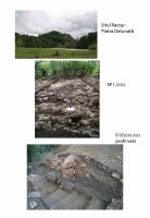 Cronica Cercetărilor Arheologice din România, Campania 2012. Raportul nr. 53