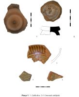 Chronicle of the Archaeological Excavations in Romania, 2012 Campaign. Report no. 77.1, Cicăneşti, Sălişte<br /><a href='http://foto.cimec.ro/cronica/2012/077A-BARASTI-AG/cicanesti-ilustatie-cronica-5.jpg' target=_blank>Display the same picture in a new window</a>