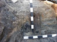 Chronicle of the Archaeological Excavations in Romania, 2012 Campaign. Report no. 100, Sibiu, Guşteriţa<br /><a href='http://foto.cimec.ro/cronica/2012/100-SIBIU-SB-fortificatia-medievala/foto-6.jpg' target=_blank>Display the same picture in a new window</a>